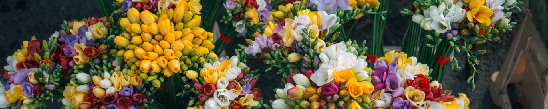 Photo by <a href="https://unsplash.com/@alisaanton" target="_blank">Alisa Anton</a> on <a href="https://unsplash.com/?utm_source=unsplash&utm_medium=referral&utm_content=creditCopyText" target="_blank">Unsplash</a>