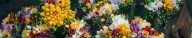 Photo by <a href="https://unsplash.com/@alisaanton" target="_blank">Alisa Anton</a> on <a href="https://unsplash.com/?utm_source=unsplash&amp;utm_medium=referral&amp;utm_content=creditCopyText" target="_blank">Unsplash</a>